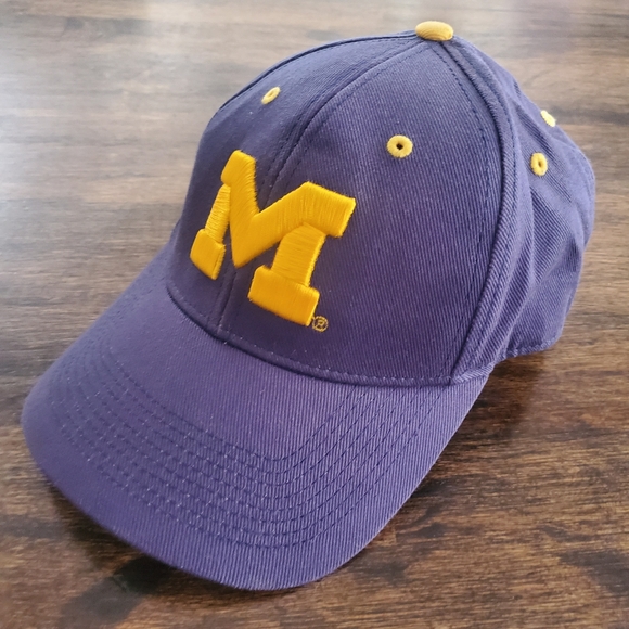 Michigan Wolverines Embroidered‎ Adjustable Cap/Hat, ESPN College Game Day - Picture 1 of 10
